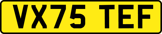 VX75TEF