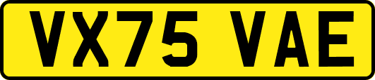 VX75VAE