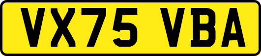 VX75VBA