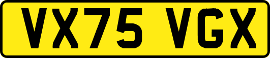 VX75VGX