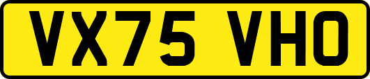 VX75VHO