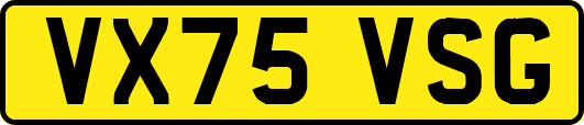 VX75VSG
