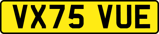 VX75VUE