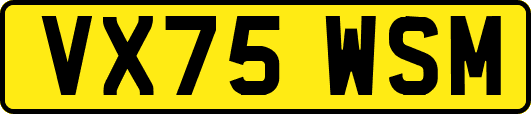 VX75WSM