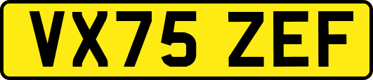 VX75ZEF