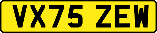 VX75ZEW