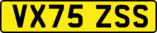 VX75ZSS