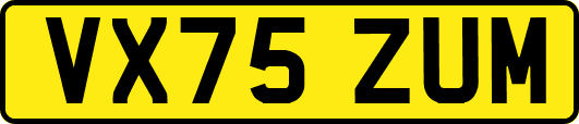 VX75ZUM