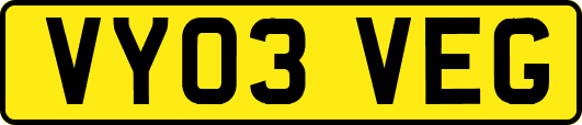 VY03VEG