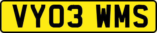 VY03WMS