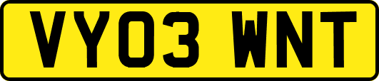 VY03WNT