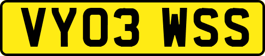 VY03WSS