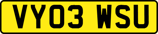 VY03WSU