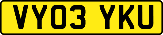 VY03YKU
