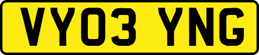 VY03YNG