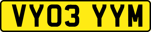 VY03YYM