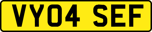 VY04SEF