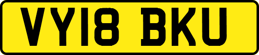 VY18BKU