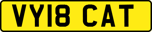 VY18CAT