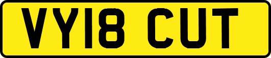 VY18CUT