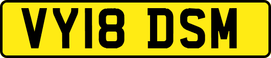 VY18DSM