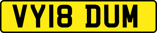 VY18DUM