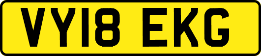 VY18EKG