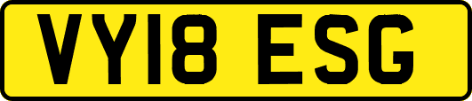 VY18ESG