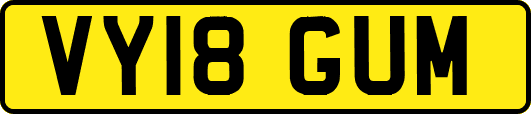 VY18GUM