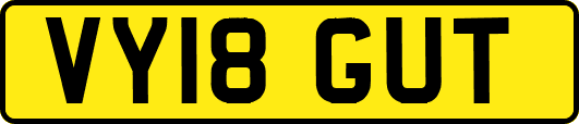 VY18GUT