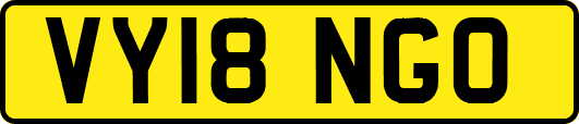 VY18NGO
