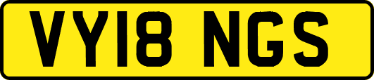 VY18NGS