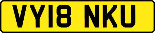 VY18NKU