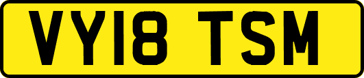 VY18TSM
