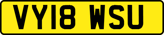 VY18WSU
