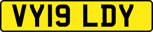 VY19LDY