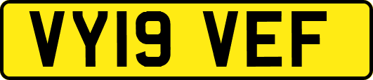 VY19VEF