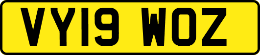 VY19WOZ