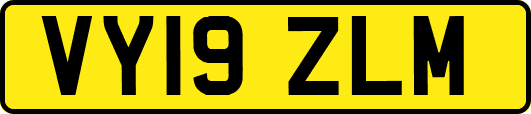 VY19ZLM