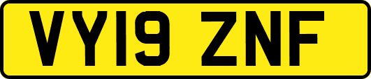VY19ZNF