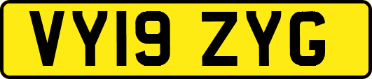 VY19ZYG