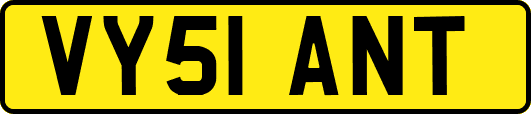 VY51ANT