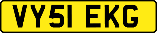 VY51EKG