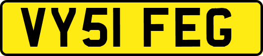 VY51FEG