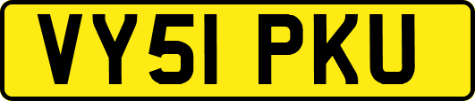 VY51PKU