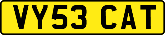 VY53CAT