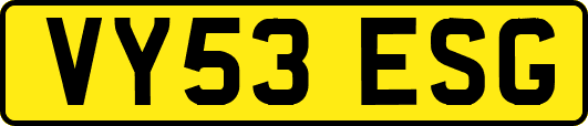 VY53ESG