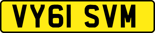 VY61SVM