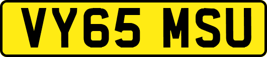 VY65MSU