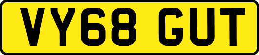 VY68GUT